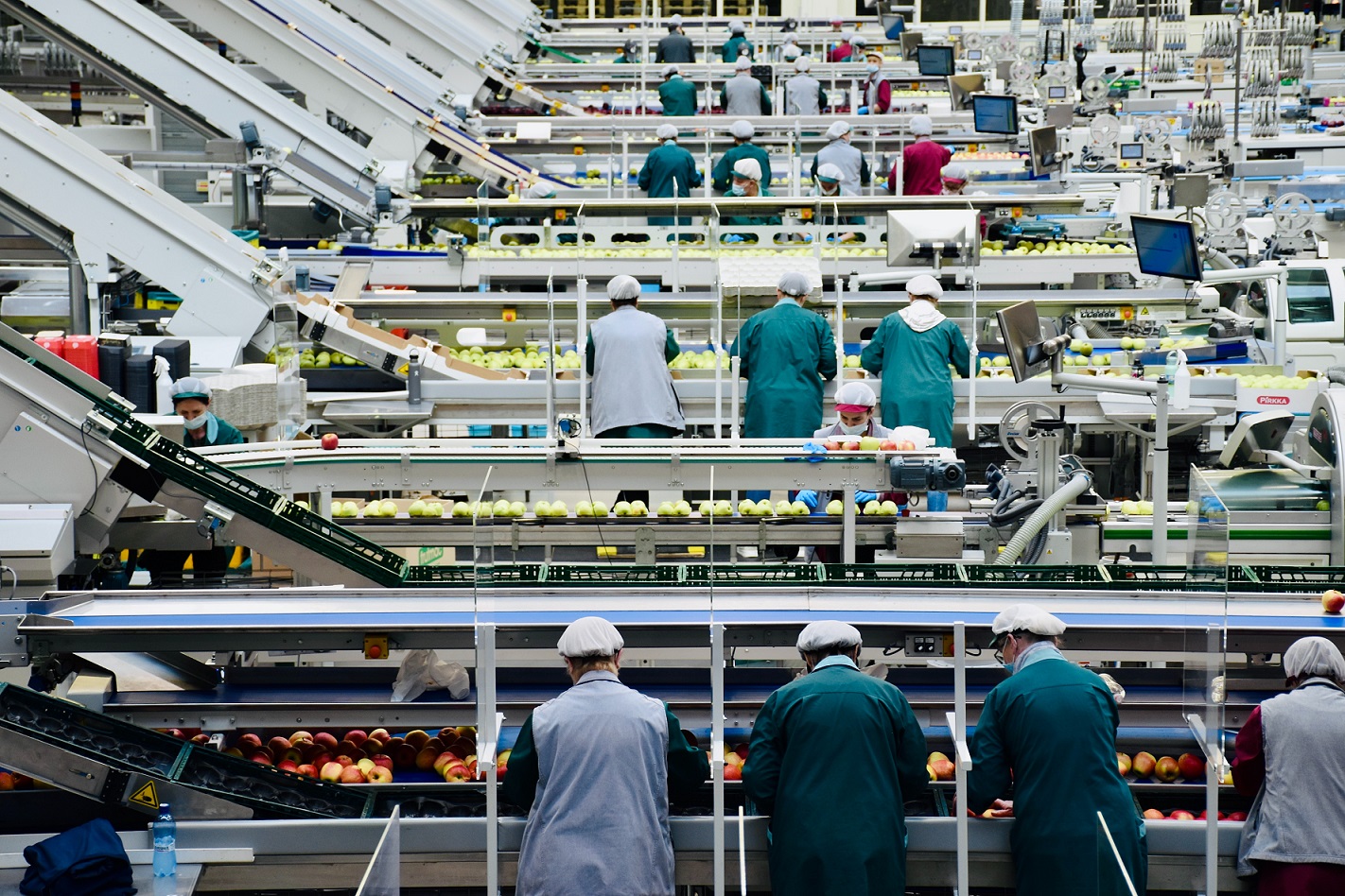 Control de plagas en bares y cafeterías
