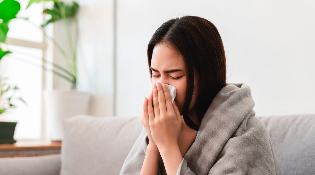 Cómo afectan las pulgas en personas con alergias 